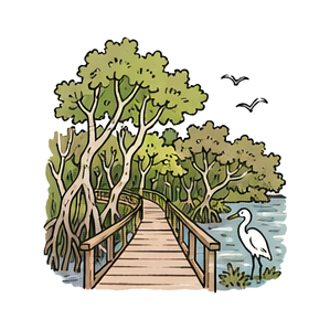 Hand-drawn illustration of Hugh Taylor Birch State Park